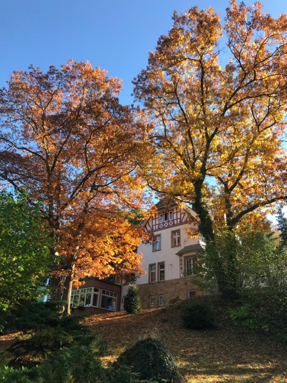 Waldhotel Bad Munstereifel Zewnętrze zdjęcie